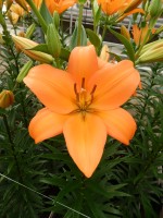 [5087 Eremo No02.JPG]